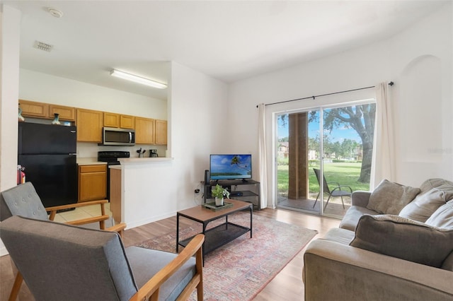 4224 Calabria Ave, Davenport, FL 33897 - living room featuring light wood finished floors