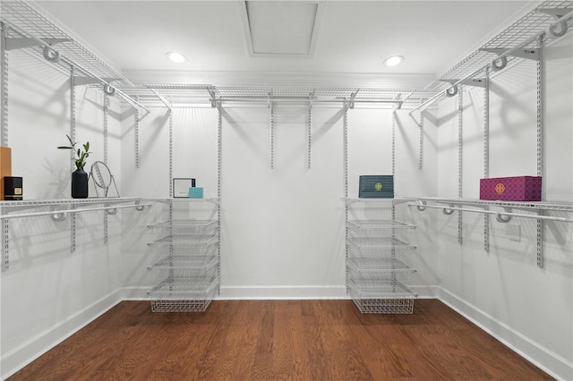 15350 Arabian Way, Montverde, FL 34756 - spacious closet with wood finished floors