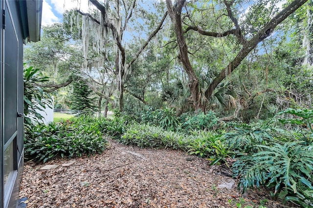 877 Great Bend Rd, Altamonte Springs, FL 32714 - view of yard