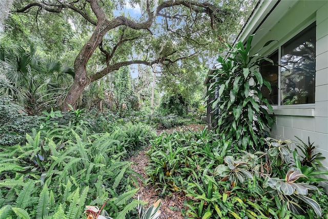 877 Great Bend Rd, Altamonte Springs, FL 32714 - view of undeveloped land