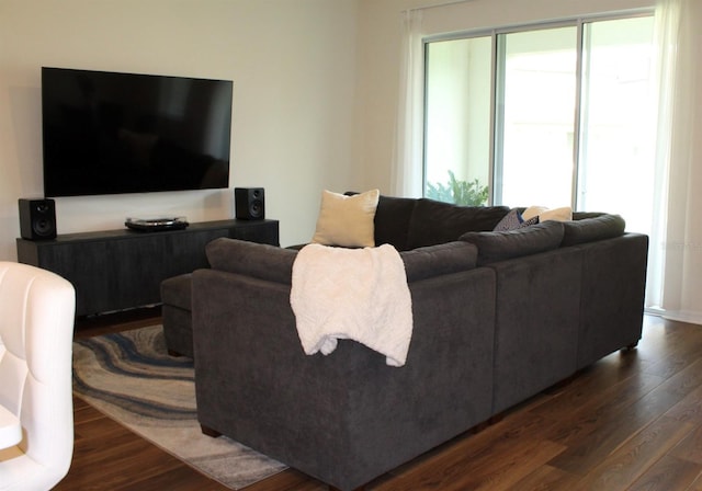 4426 Small Creek Rd, Kissimmee, FL 34744 - living area featuring dark wood finished floors