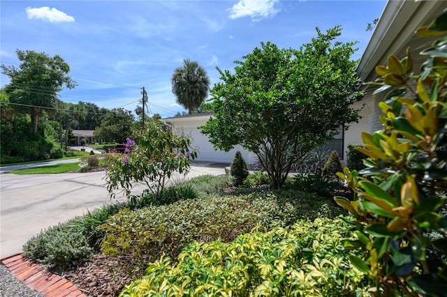 632 Magnolia Dr, Maitland, FL 32751 - photo 6