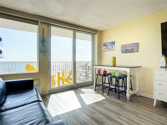 701 S Atlantic Ave Unit 504, Daytona Beach, FL 32118 - living room with wood finished floors, a textured ceiling, and a water view