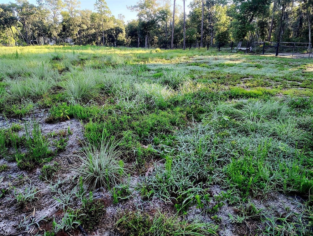 0 SW 153rd Ln, Dunnellon, FL 34432 - photo 1