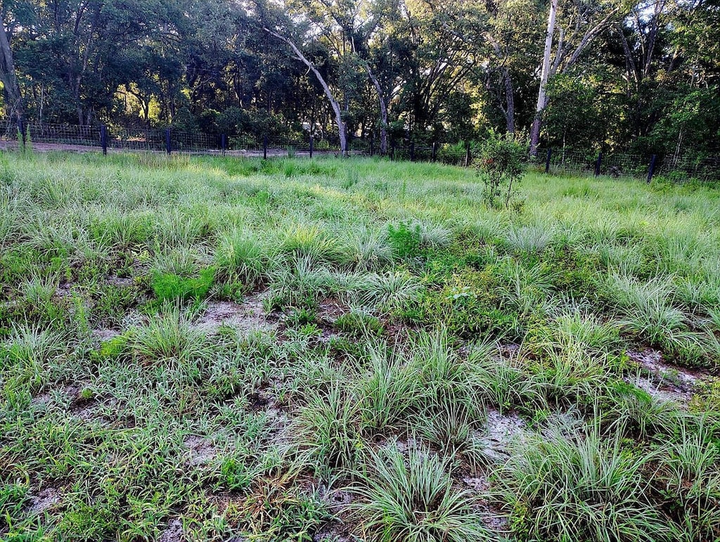 0 SW 153rd Ln, Dunnellon, FL 34432 - photo 3