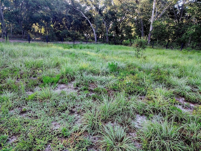 0 SW 153rd Ln, Dunnellon, FL 34432 - photo 3