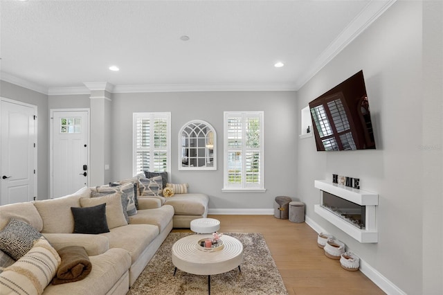 1531 Castile St, Celebration, FL 34747 - photo 5