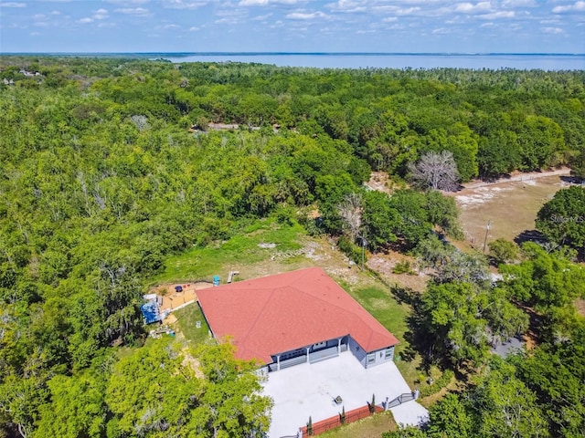15715 Trousdale St, Clermont, FL 34715 - aerial view of a heavily wooded area