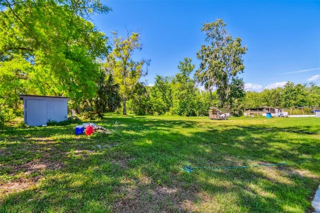 15715 Trousdale St, Clermont, FL 34715 - view of green lawn