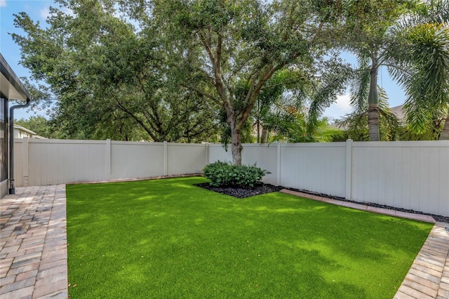 8827 Arrabida Ln, Orlando, FL 32836 - view of fenced backyard