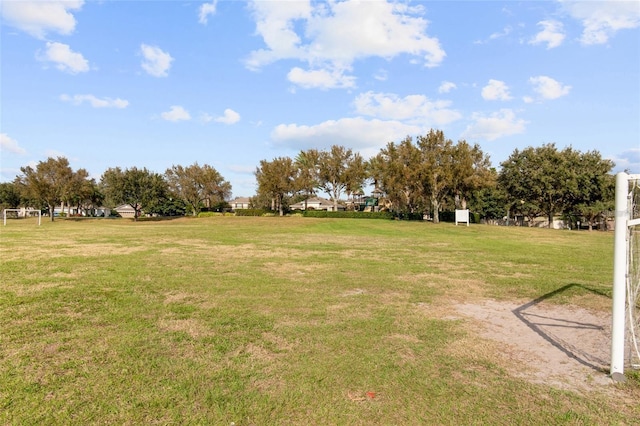 8827 Arrabida Ln, Orlando, FL 32836 - view of yard