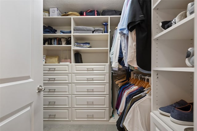9070 Ron Den Ln, Windermere, FL 34786 - view of spacious closet