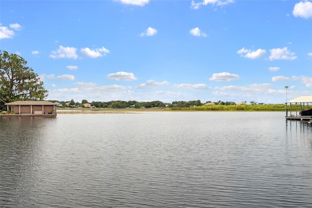 9070 Ron Den Ln, Windermere, FL 34786 - water view