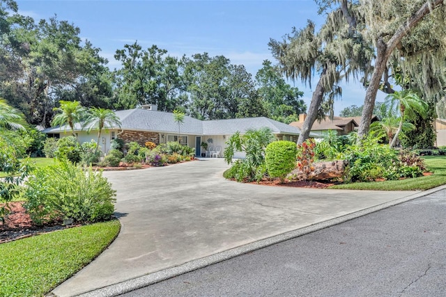 1238 Palmetto Rd, Eustis, FL 32726 - single story home with concrete driveway
