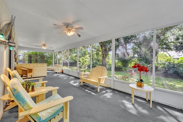 1238 Palmetto Rd, Eustis, FL 32726 - sunroom with ceiling fan and plenty of natural light