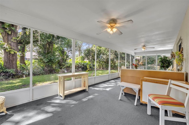 1238 Palmetto Rd, Eustis, FL 32726 - sunroom with a ceiling fan