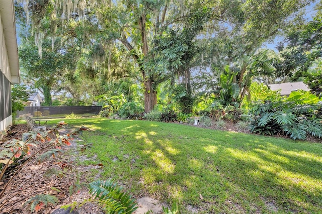 1238 Palmetto Rd, Eustis, FL 32726 - view of yard
