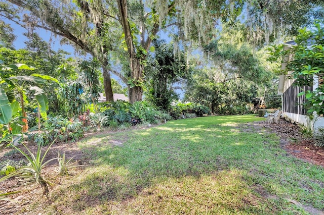 1238 Palmetto Rd, Eustis, FL 32726 - view of green lawn
