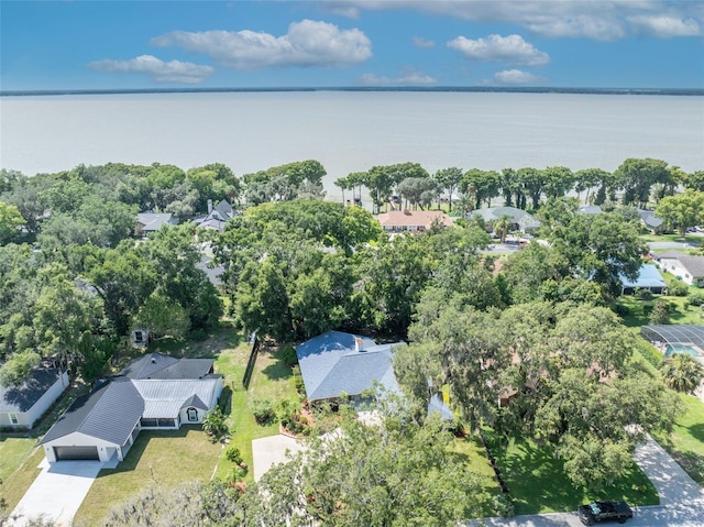 1238 Palmetto Rd, Eustis, FL 32726 - aerial overview of property's location with a large body of water and nearby suburban area