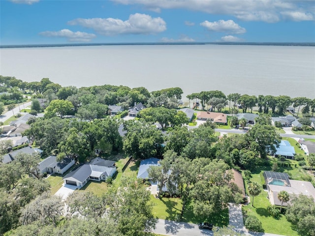 1238 Palmetto Rd, Eustis, FL 32726 - aerial overview of property's location with nearby suburban area and a large body of water