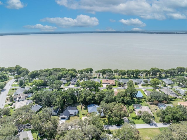 1238 Palmetto Rd, Eustis, FL 32726 - aerial view of residential area featuring a nearby body of water