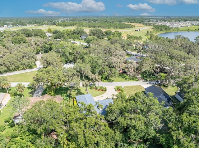 1238 Palmetto Rd, Eustis, FL 32726 - aerial overview of property's location featuring a large body of water and nearby suburban area