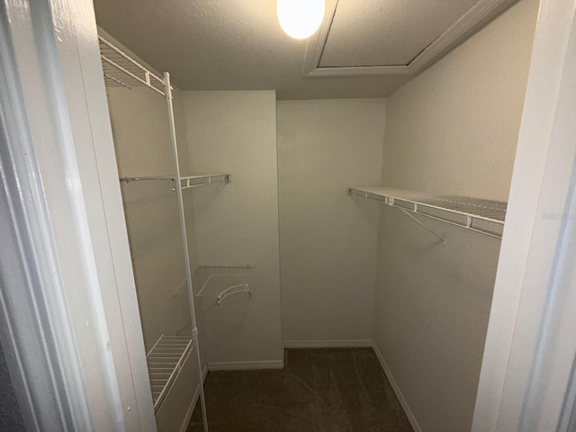 614 Grenadine Ct Unit S, Winter Park, FL 32792 - photo 28