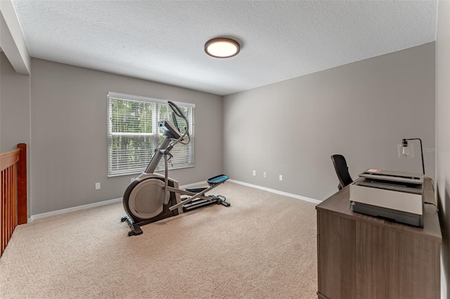 1041 Mccully Ct, Oviedo, FL 32765 - exercise area featuring carpet flooring and a textured ceiling