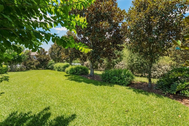 1569 Katie Cv, Sanford, FL 32771 - photo 56