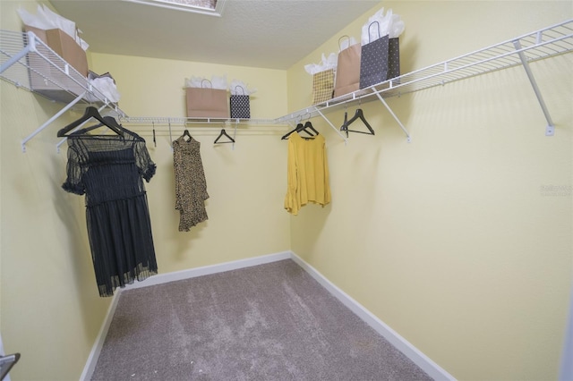 2860 Haze Rd, Clermont, FL 34714 - walk in closet featuring carpet