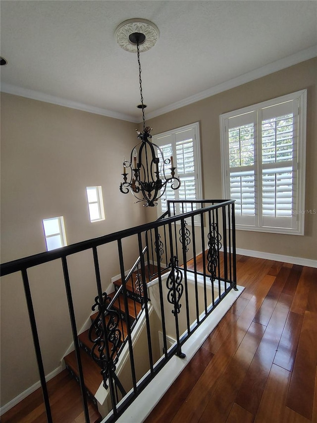 3218 W Obispo St, Tampa, FL 33629 - photo 7
