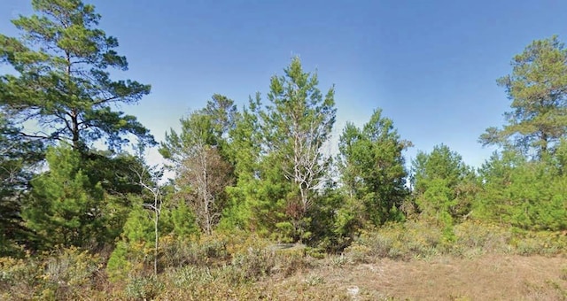 Dumajack Rd, Chipley, FL 32428