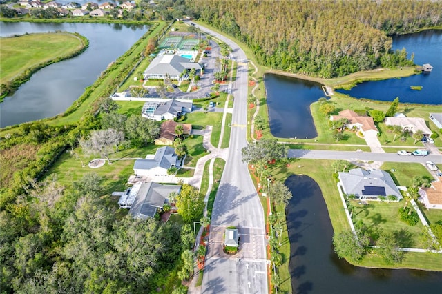 3224 Queen Alexandria Dr, Kissimmee, FL 34744 - photo 53