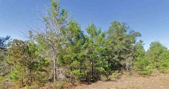 Dumajack Rd, Chipley, FL 32428