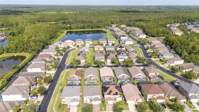 158 Barefoot Beach Way, Kissimmee, FL 34746 - photo 42