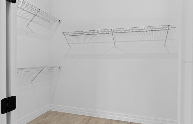 8267 Fenton St, Orlando, FL 32836 - walk in closet with light wood-style floors