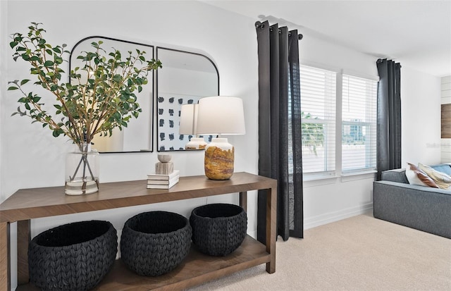 8267 Fenton St, Orlando, FL 32836 - detailed view of carpet and baseboards