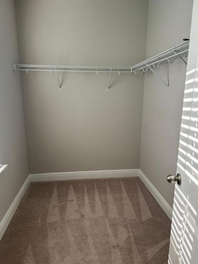 2435 Standing Rock Cir, Oakland, FL 34787 - spacious closet featuring carpet
