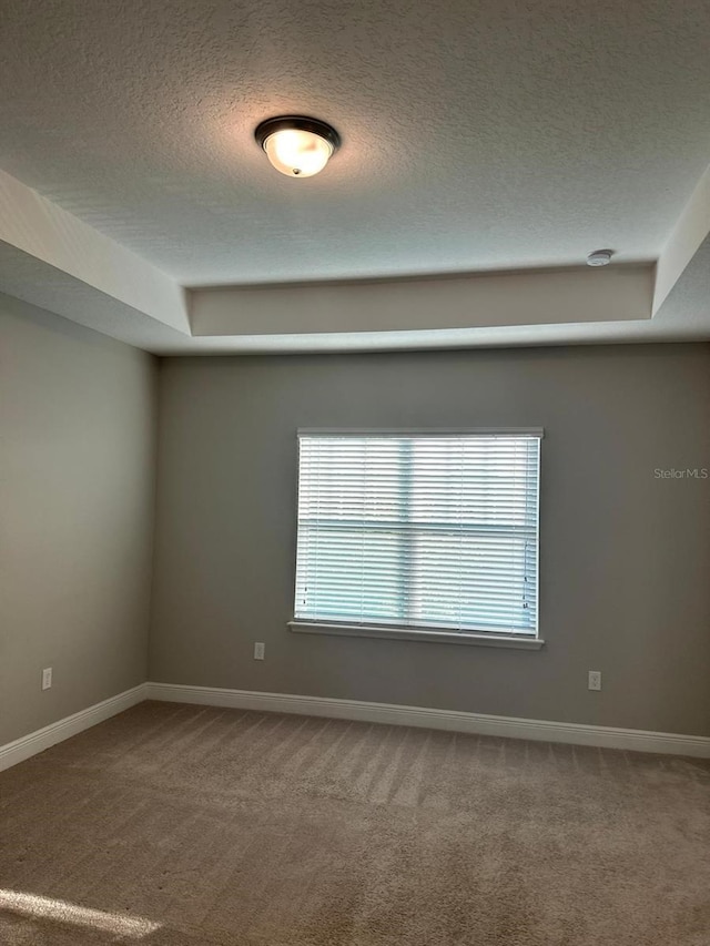 2435 Standing Rock Cir, Oakland, FL 34787 - spare room with carpet floors and a textured ceiling
