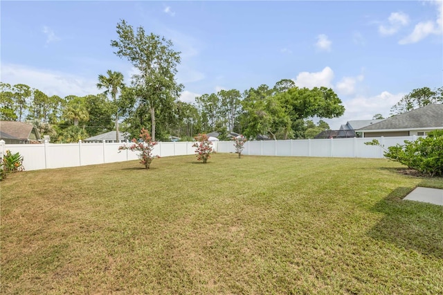 40 Briarvue Ln, Palm Coast, FL 32137 - view of fenced backyard