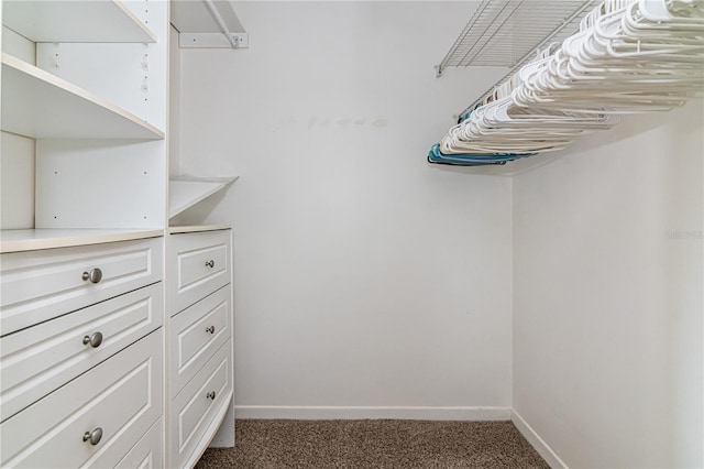 6019 Windhover Dr Unit C10-2, Orlando, FL 32819 - walk in closet featuring carpet flooring