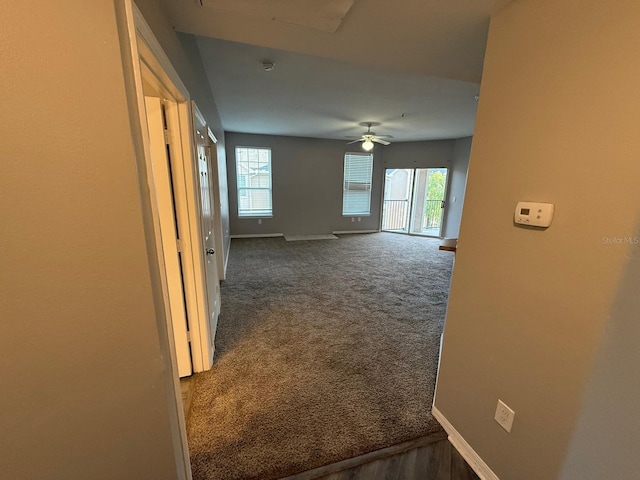 2015 Erving Cir Unit 307, Ocoee, FL 34761 - corridor with plenty of natural light and carpet floors