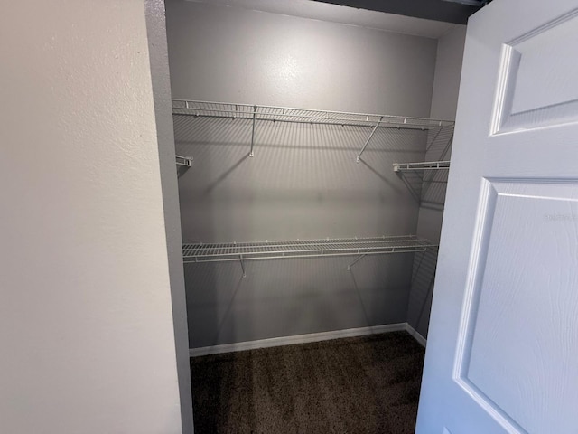 2015 Erving Cir Unit 307, Ocoee, FL 34761 - spacious closet featuring carpet