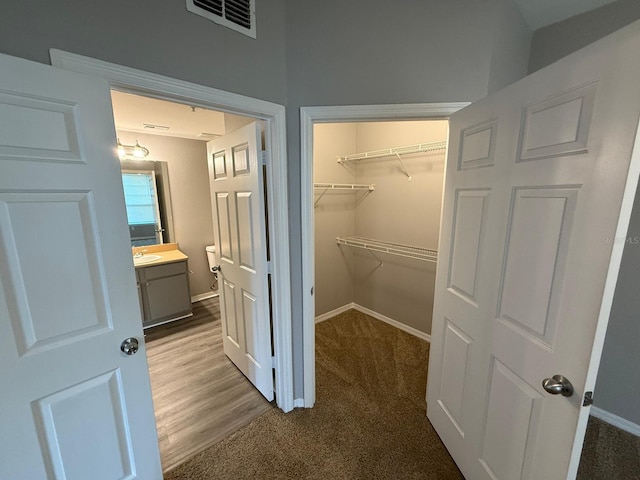 2015 Erving Cir Unit 307, Ocoee, FL 34761 - spacious closet with carpet floors and a sink