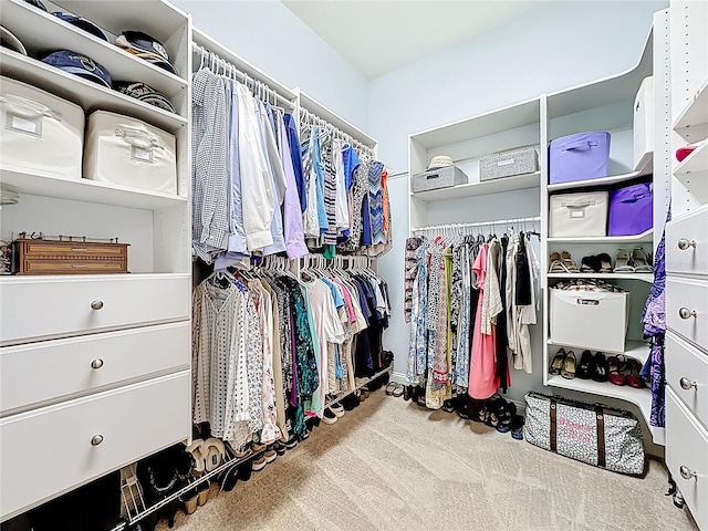 297 Shadow Ridge Trl, Ponte Vedra, FL 32081 - walk in closet featuring carpet floors