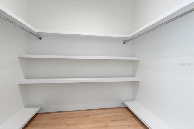 17 Old Oak Dr N, Palm Coast, FL 32137 - walk in closet with wood finished floors