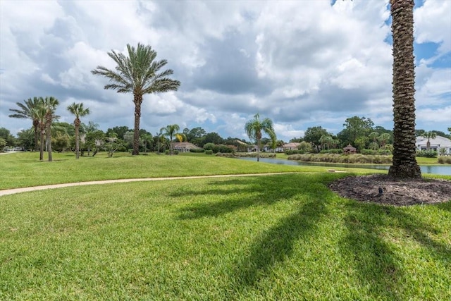 17 Old Oak Dr N, Palm Coast, FL 32137 - surrounding community featuring a water view and a yard