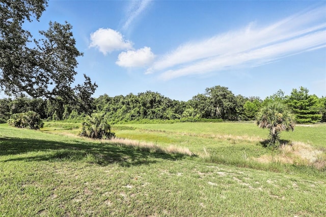960 Falls Trl, Malabar, FL 32950 - view of local wilderness