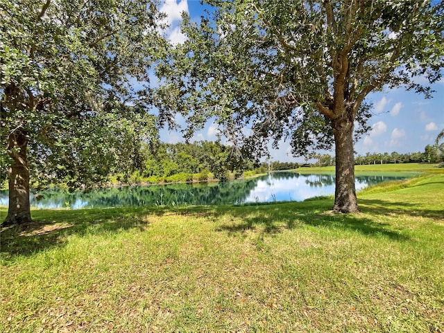 11228 White Rock Ter, Bradenton, FL 34211 - photo 25