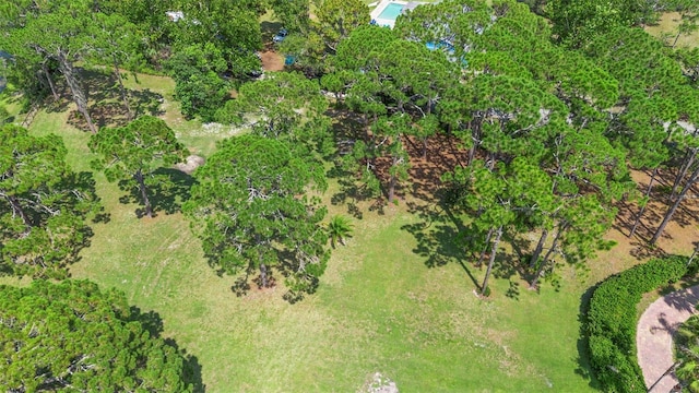 2659 Pioneer Trl, New Smyrna Beach, FL 32168 - photo 80